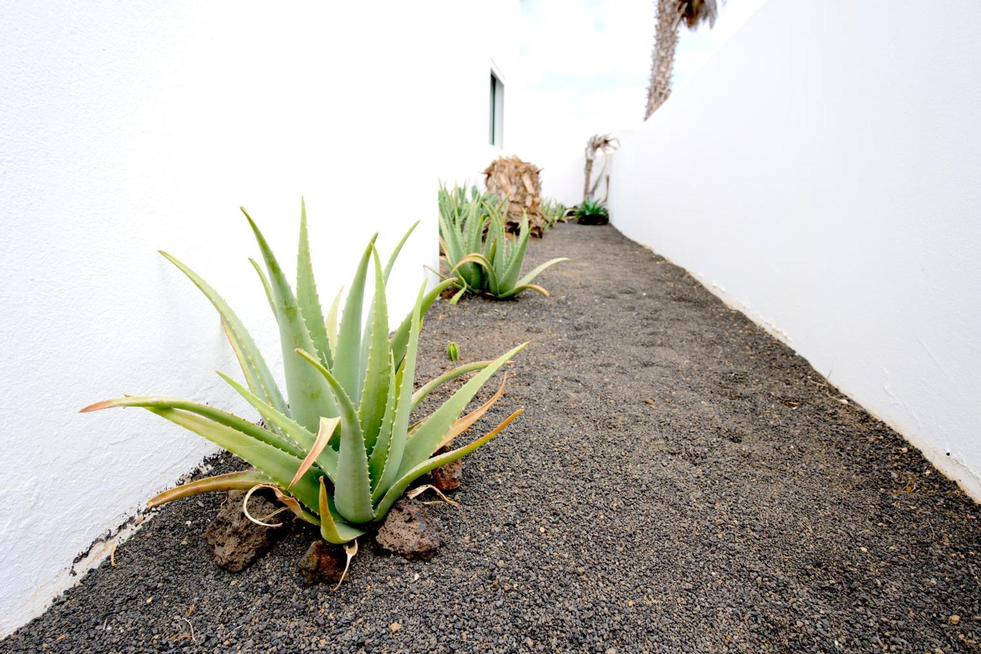 Villas Kalendra, Rofe, Lanzarote Guatiza Exterior foto